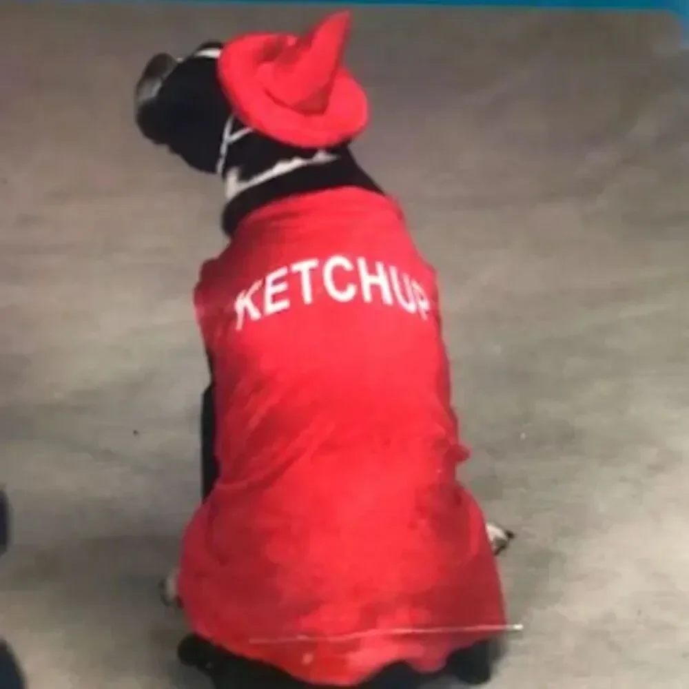 N/A ** doggie